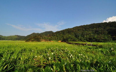照片：「球球」BLOG